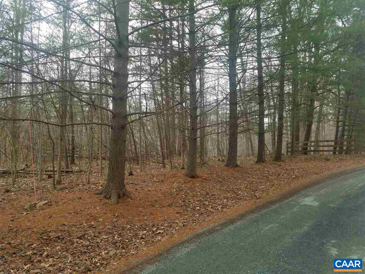 Row Stony Point Road Charlottesville, VA 22911 - Photo 1 of 4 a view of a yard with trees in the background