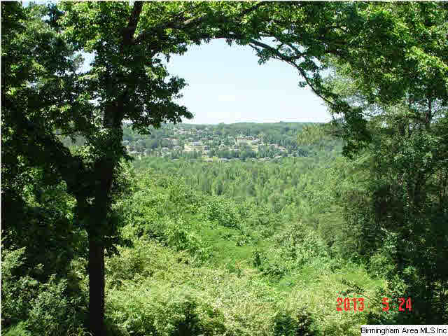 1005 Levine Road Odenville, AL 35120 - Photo 4 of 22