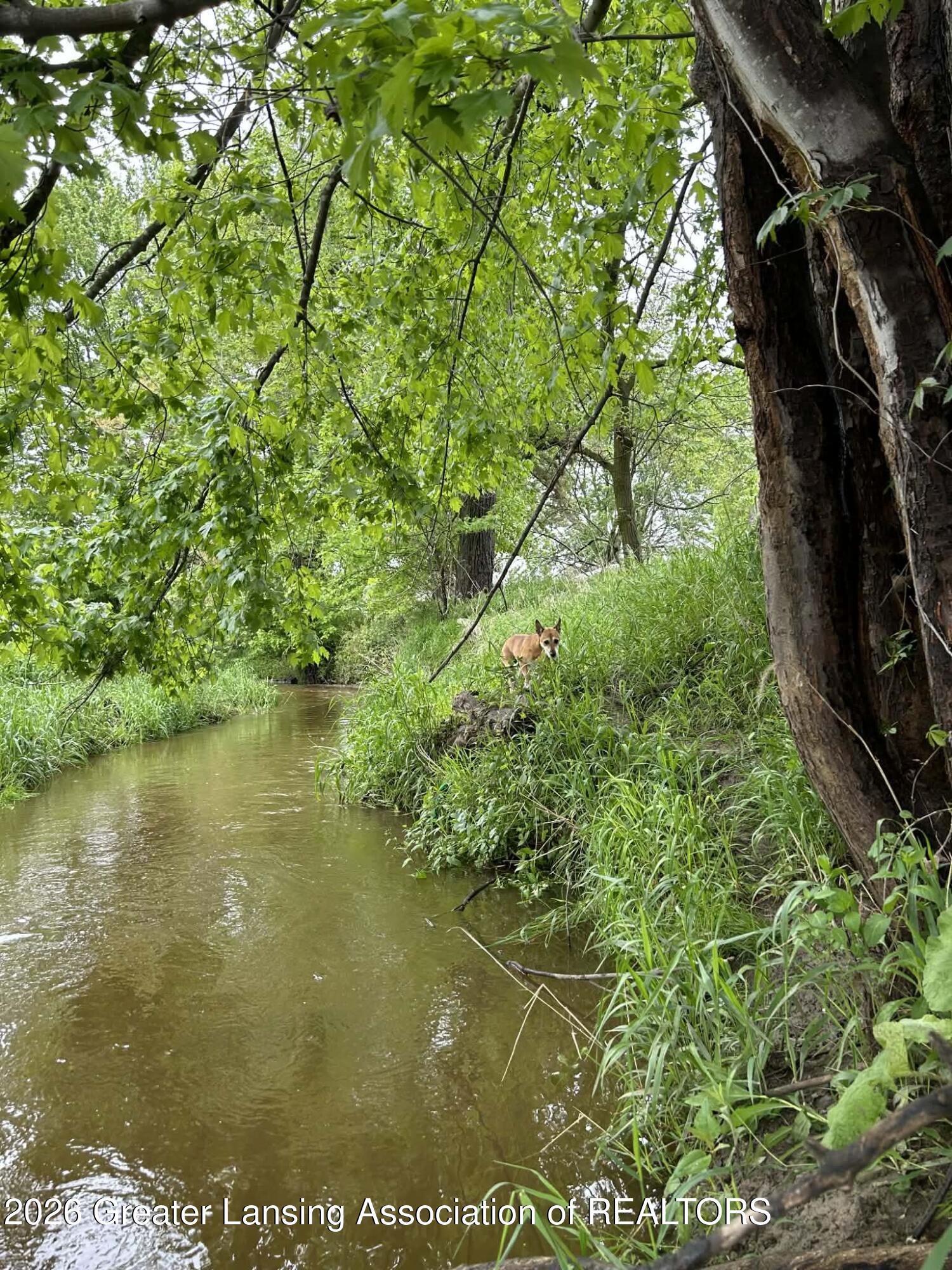 3604 South Dewitt Road St. Johns, MI 48879 - Photo 40 of 49 Stoney Creek in the Summer