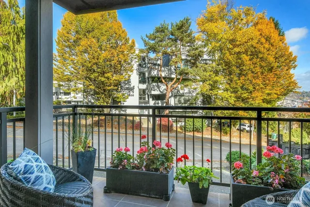 a view of a balcony with flower plants