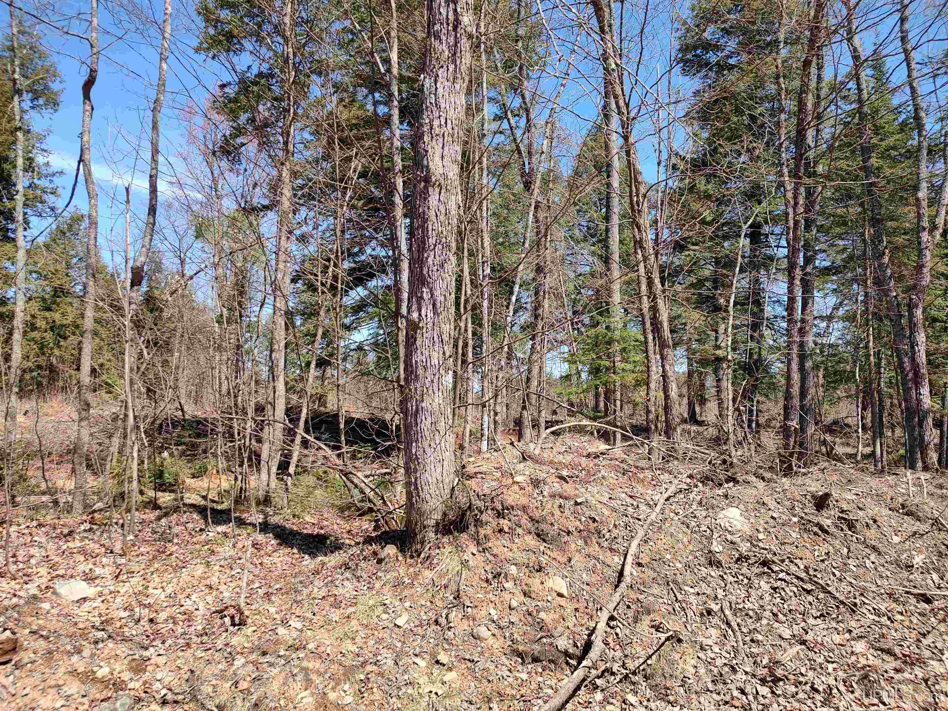 Tbd Black Creek Road Skanee, MI 49962 - Photo 6 of 13