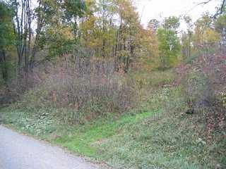 Mary George Road Chicora, PA 16025 - Photo 3 of 6 Other.