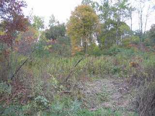 Mary George Road Chicora, PA 16025 - Photo 5 of 6 Other.