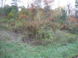 Mary George Road Chicora, PA 16025 - Photo 6 of 6 Other.