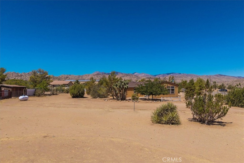 5175 Tom Mix Road Pioneertown, CA 92268 - Photo 43 of 58 a view of a road with trees
