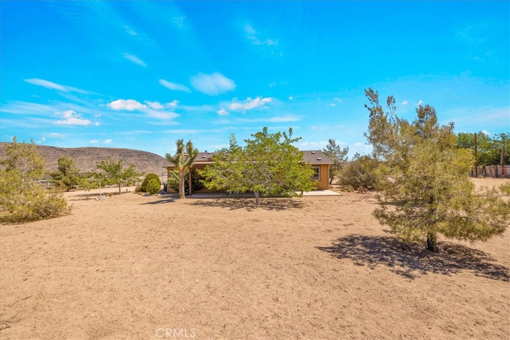 5175 Tom Mix Road Pioneertown, CA 92268 - Photo 6 of 58