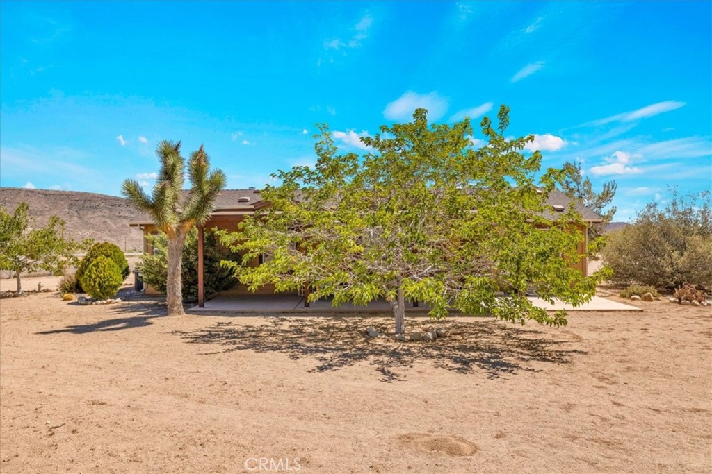5175 Tom Mix Road Pioneertown, CA 92268 - Photo 7 of 58 a view of a garden with plants