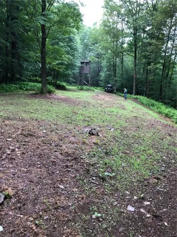 $599,000 | 1421 Roof Road, Sidney, NY 13839