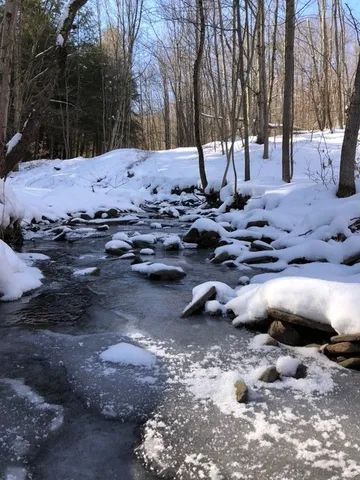 $599,000 | 1421 Roof Road, Sidney, NY 13839