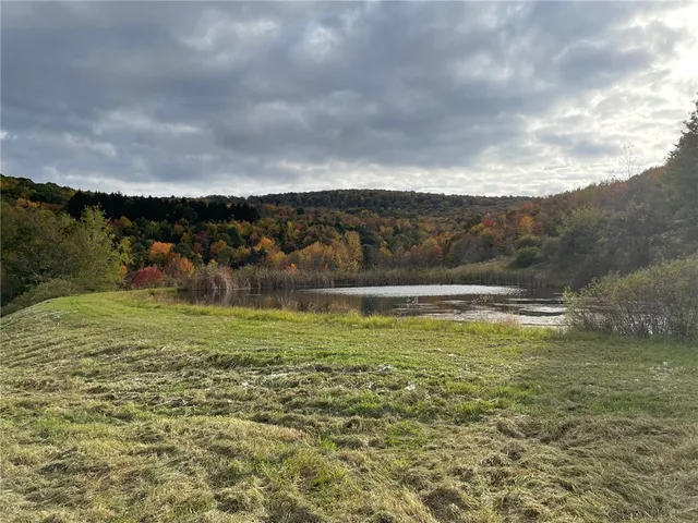 $599,000 | 1421 Roof Road, Sidney, NY 13839