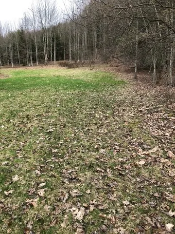 $599,000 | 1421 Roof Road, Sidney, NY 13839