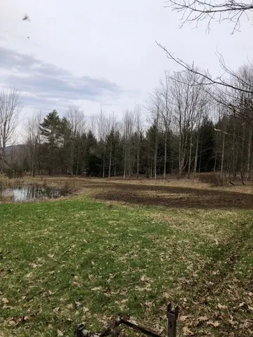 $599,000 | 1421 Roof Road, Sidney, NY 13839