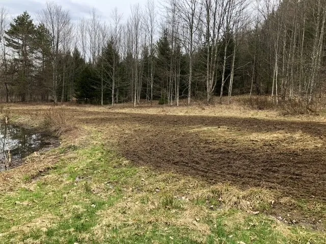 $599,000 | 1421 Roof Road, Sidney, NY 13839