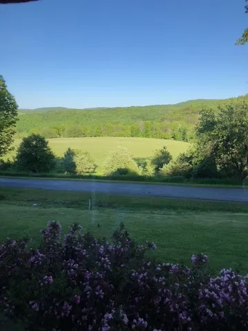 $599,000 | 1421 Roof Road, Sidney, NY 13839