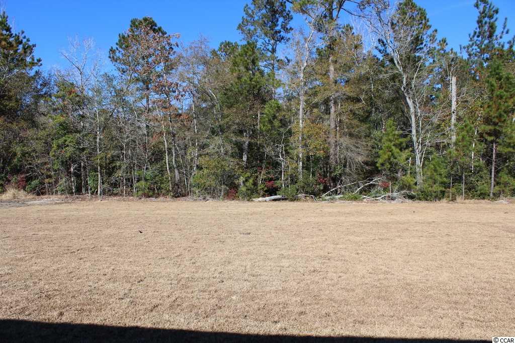 5131 Huston Road Conway, SC 29526 - Photo 19 of 31 Gallery Image 19