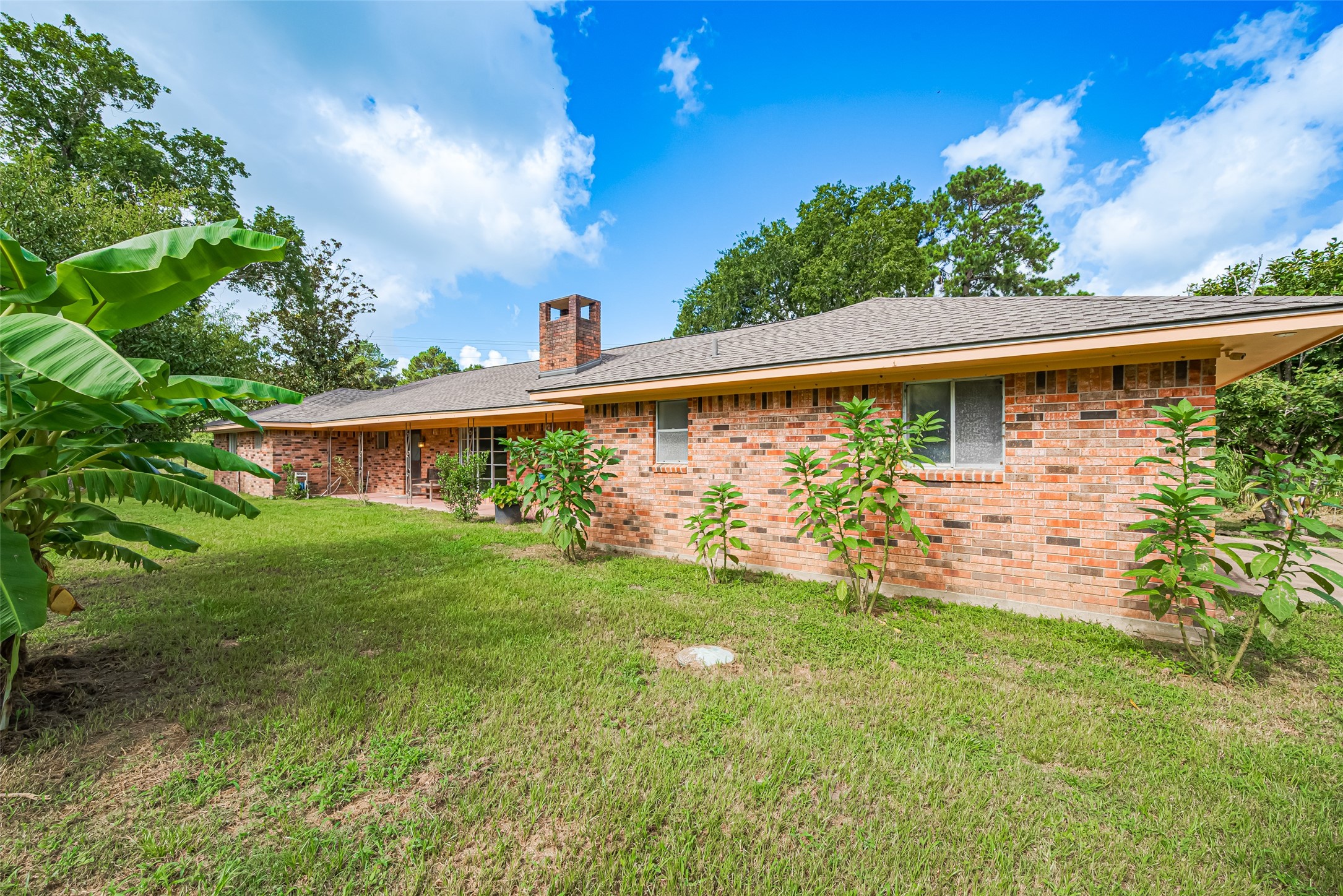 30525 Hegar Road Hockley, TX 77447 - Photo 2 of 49 a view of a backyard with plants and large trees