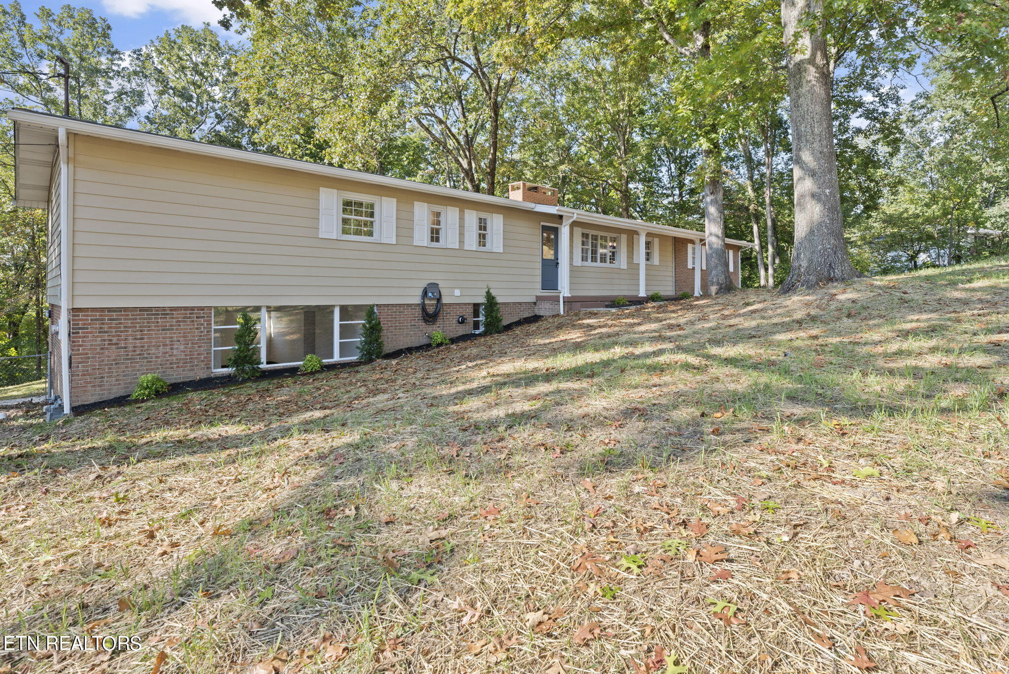 101 Morgan Road Oak Ridge, TN 37830 - Photo 3 of 39 3-web-or-mls-Mrgn101 (108)
