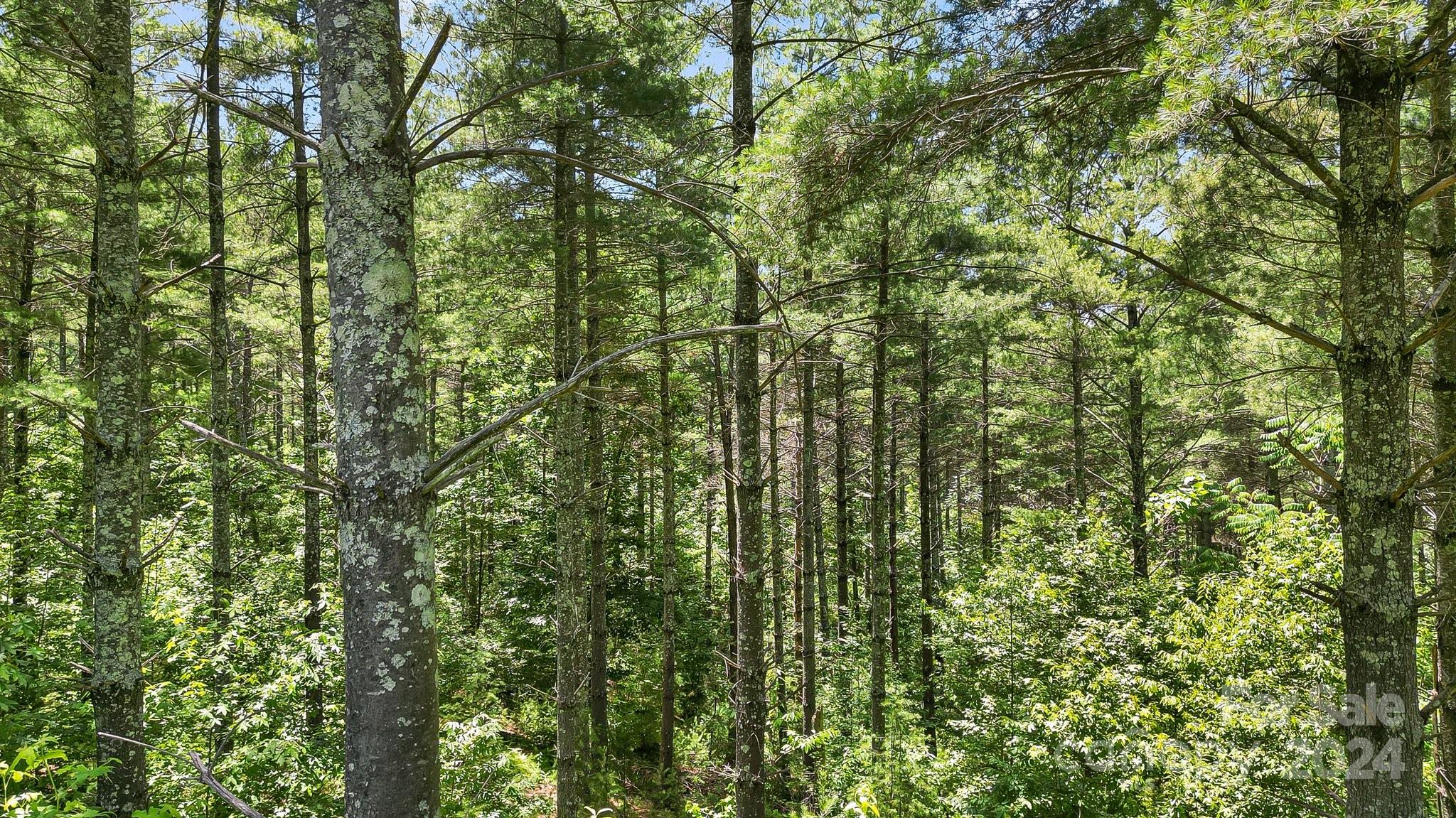 588 Peninsula Reserve Road, Unit 35 Nebo, NC 28761 - Photo 12 of 37 Gallery Image 12