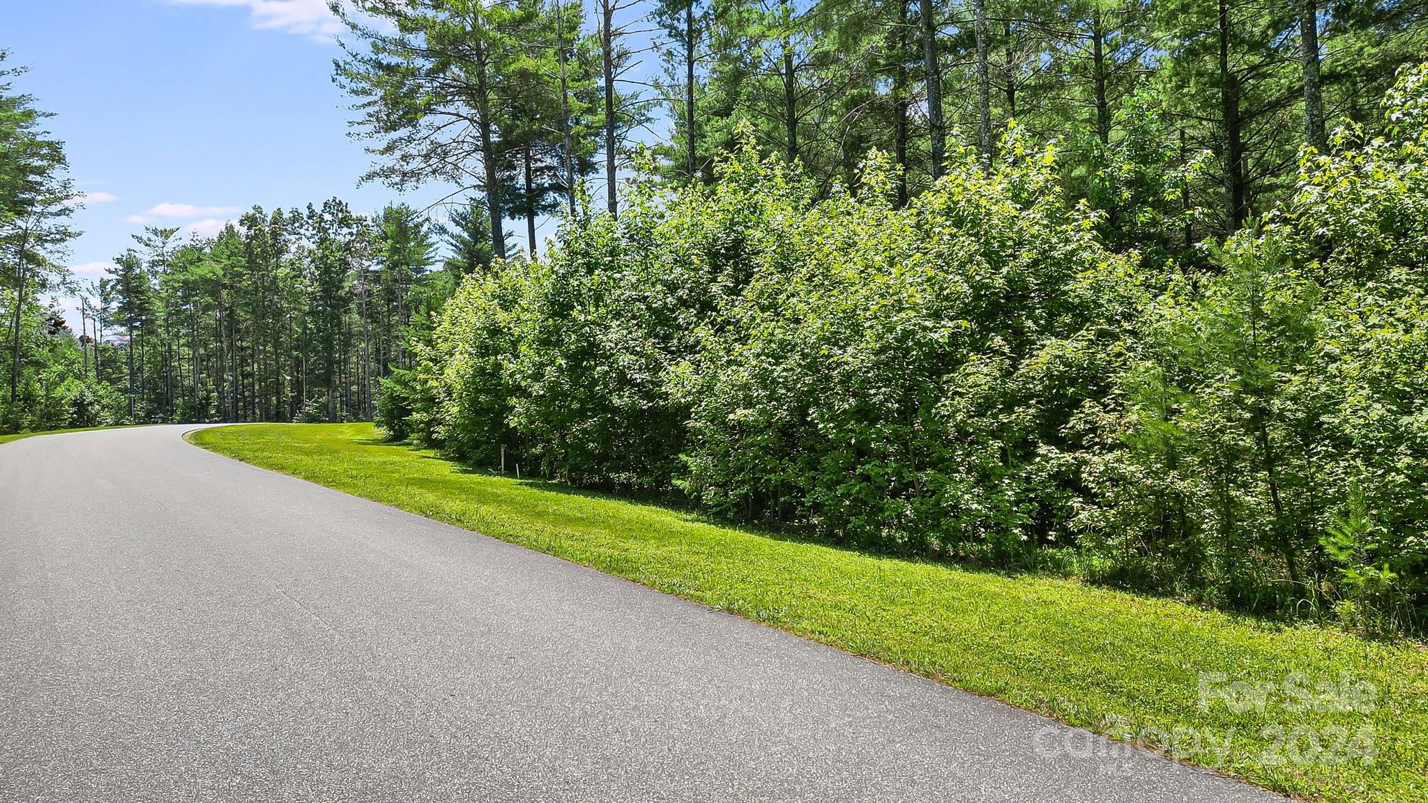 588 Peninsula Reserve Road, Unit 35 Nebo, NC 28761 - Photo 3 of 37 Gallery Image 3