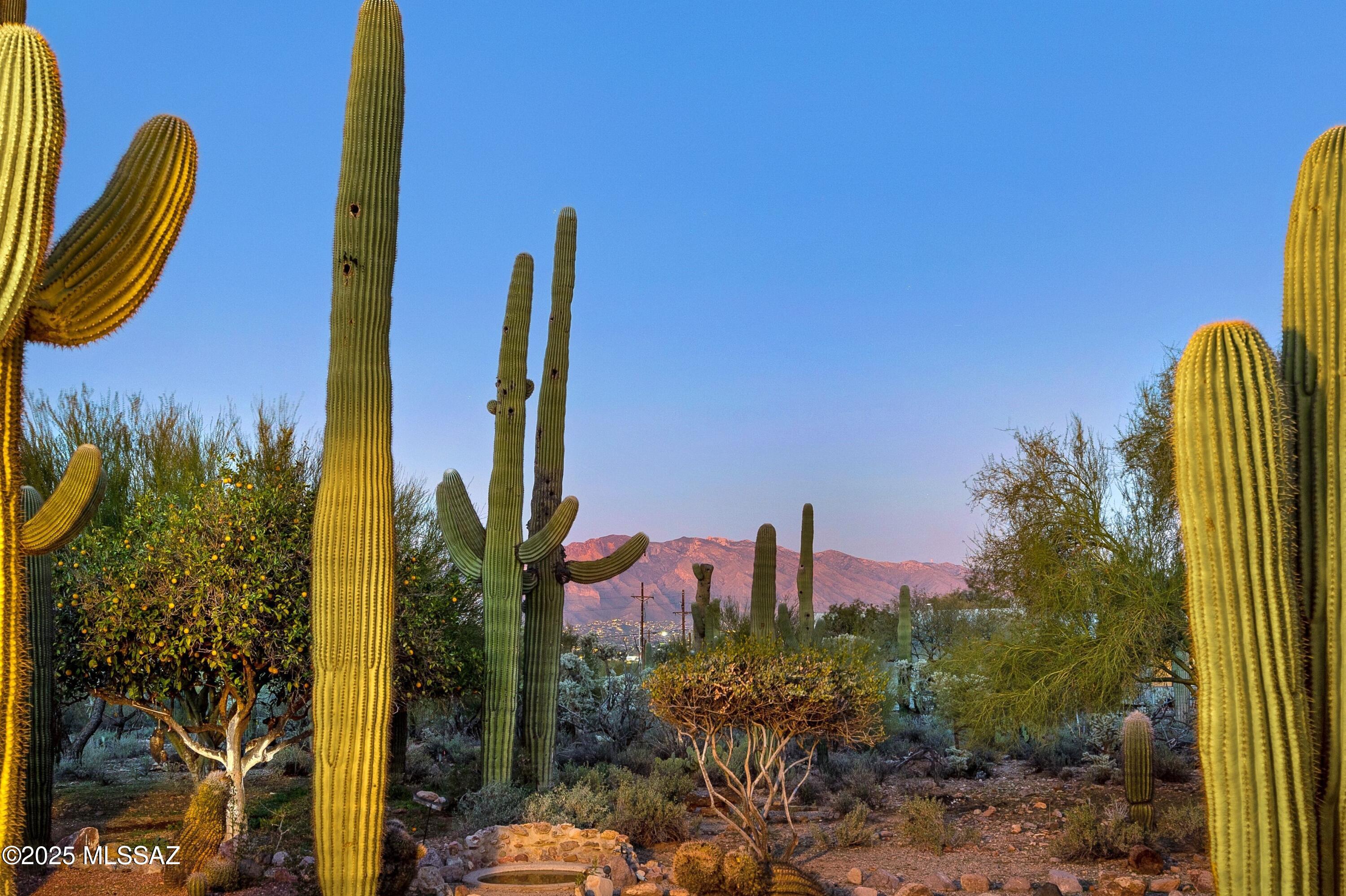 2614 North Grannen Road Tucson, AZ 85745 - Photo 36 of 49