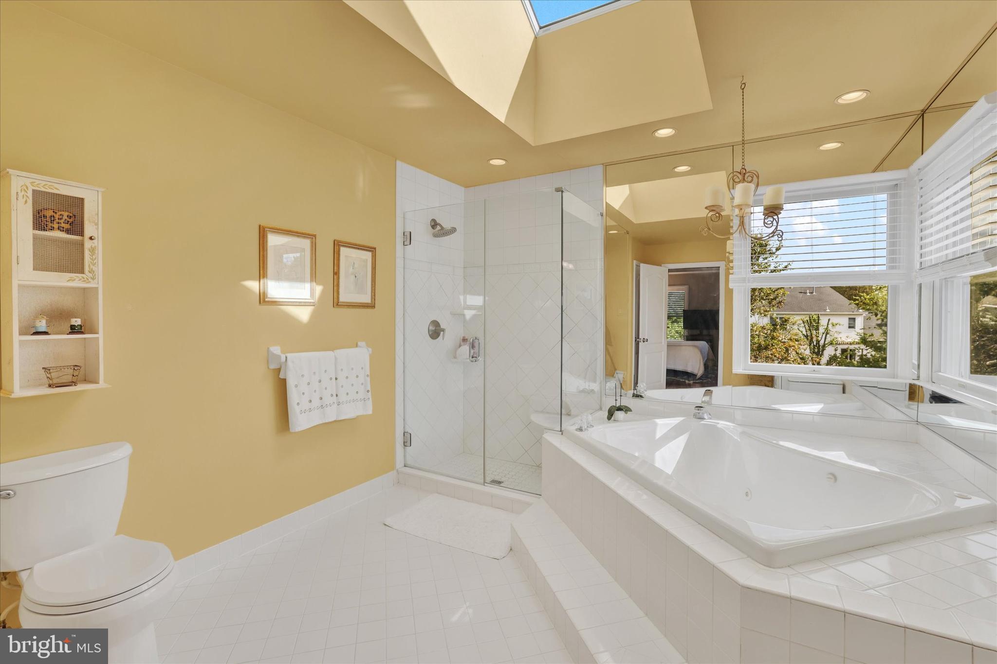 4925 Redfield Road Doylestown, PA 18902 - Photo 40 of 53 Seamless Door Walk-In Shower And Whirlpool Tub