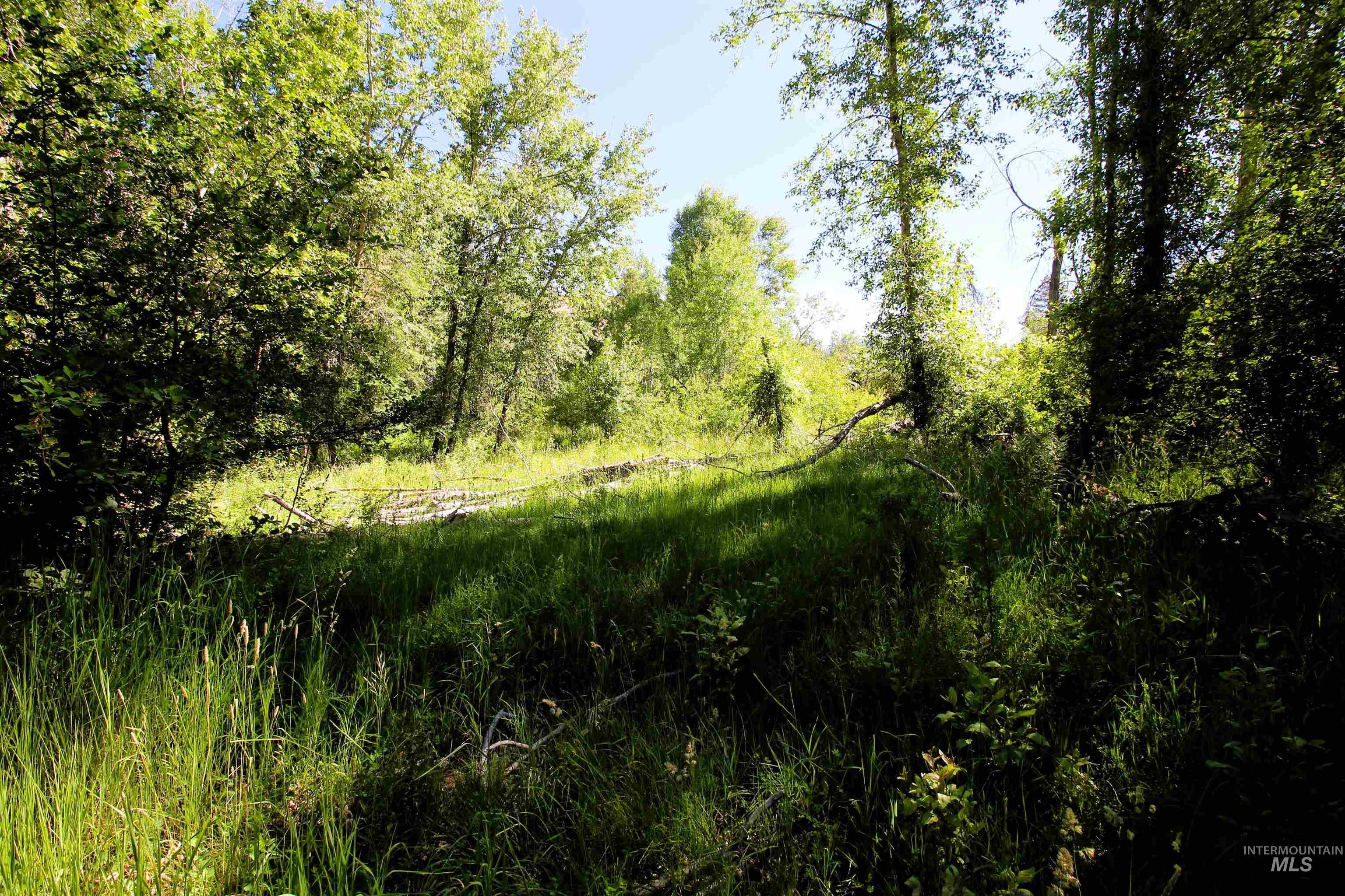 Tbd Advent Gulch Road Cambridge, ID 83610 - Photo 4 of 30