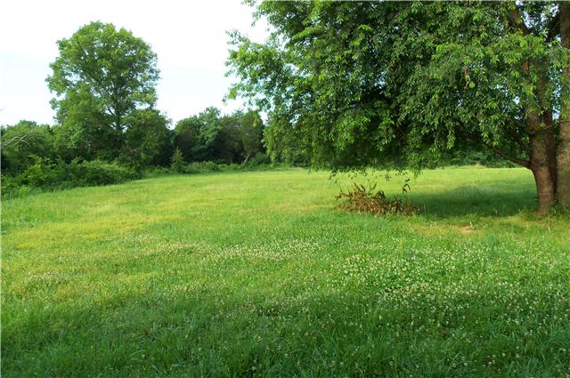 7556 Murfreesboro Road Lebanon, TN 37090 - Photo 17 of 19 View from the back