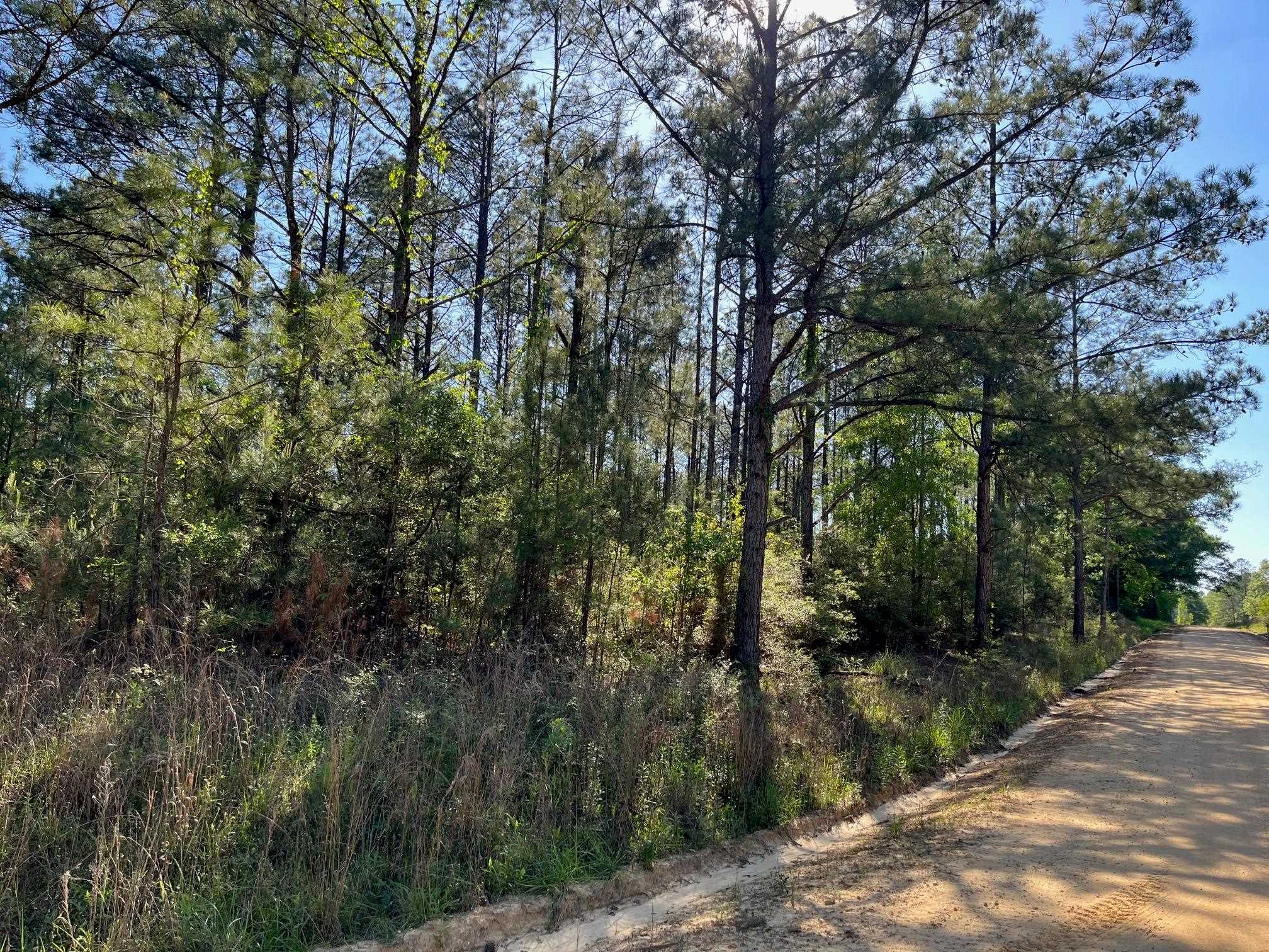 0 Judge Smith Road Andalusia, AL 36421 - Photo 4 of 10 Gallery Image 4