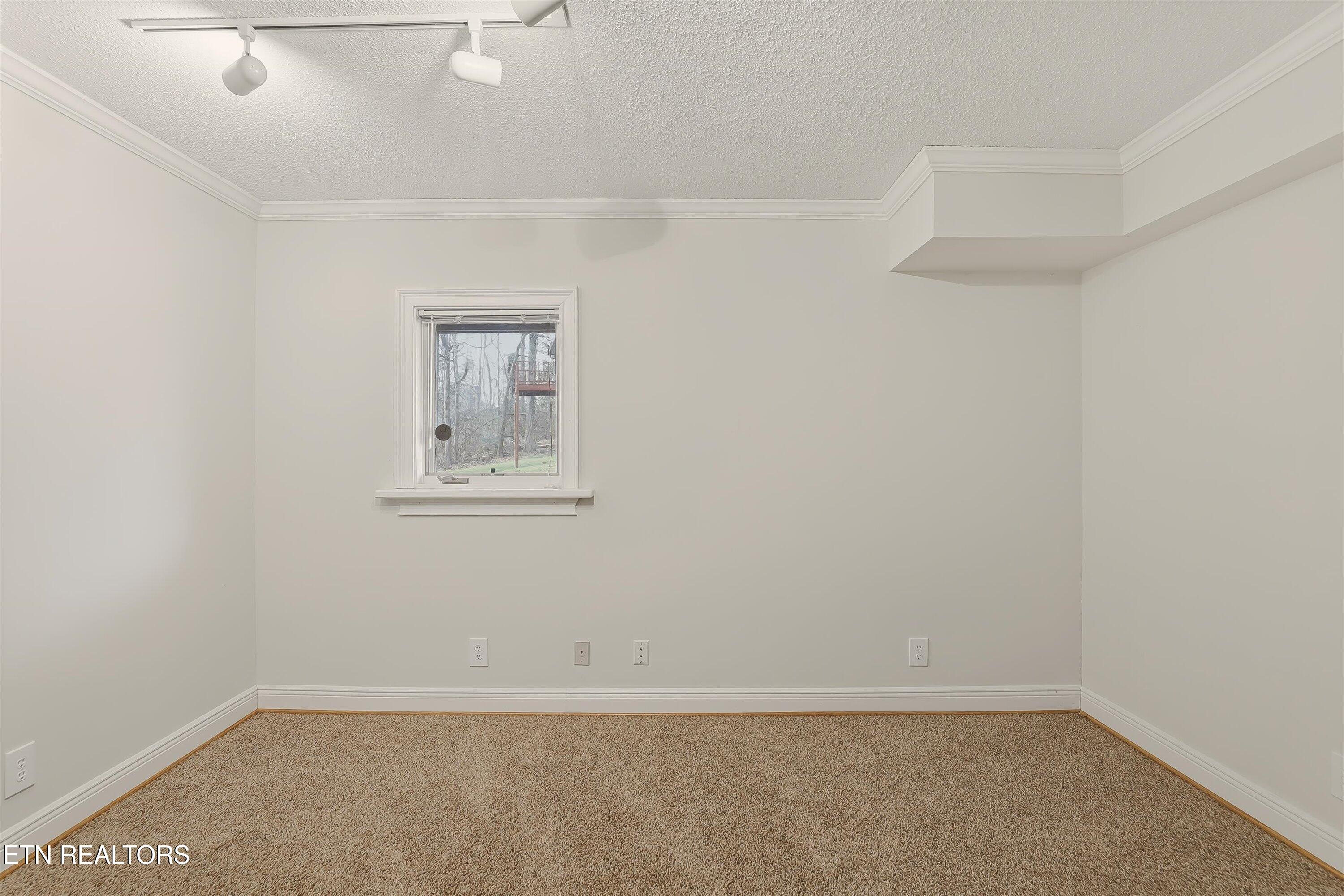 110 Hendrix Drive Oak Ridge, TN 37830 - Photo 23 of 33 Basement bedroom