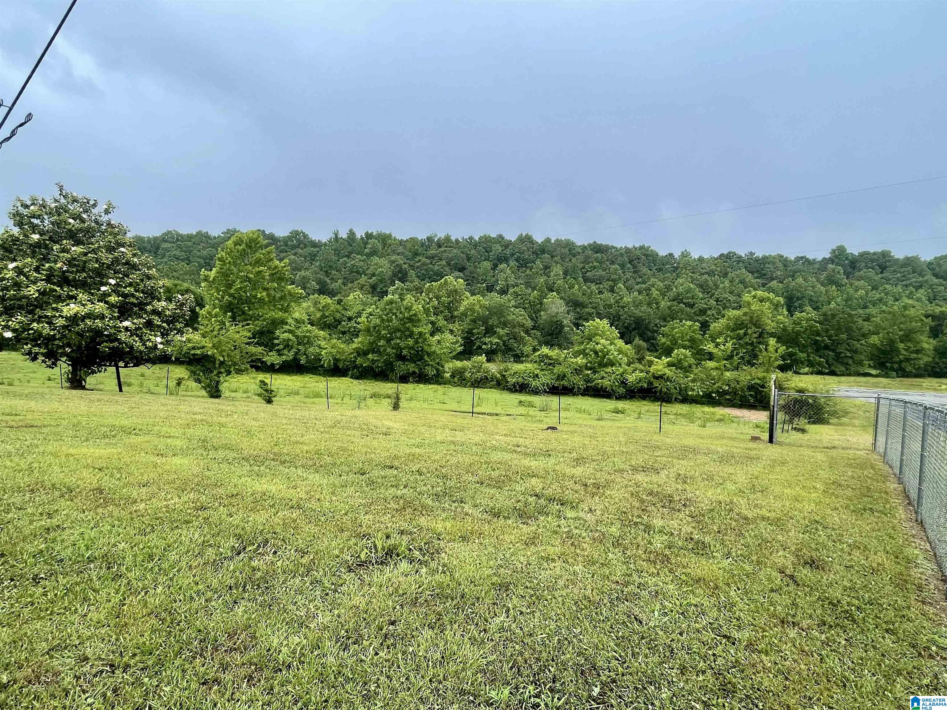 48 17th Street Ragland, AL 35131 - Photo 23 of 24