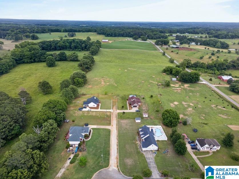 15 Fast Lane Ranburne, AL 36273 - Photo 2 of 51