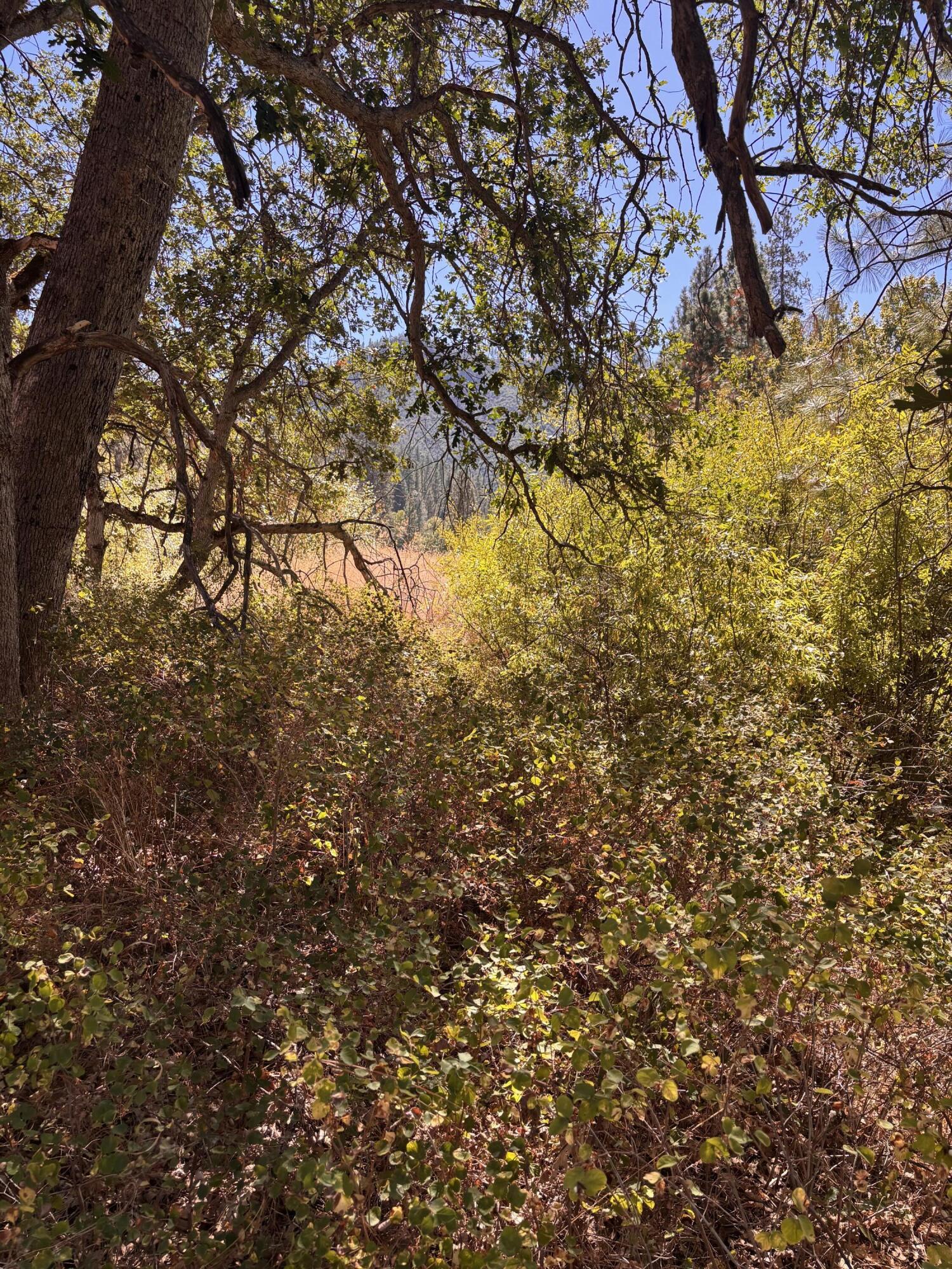Lower area
