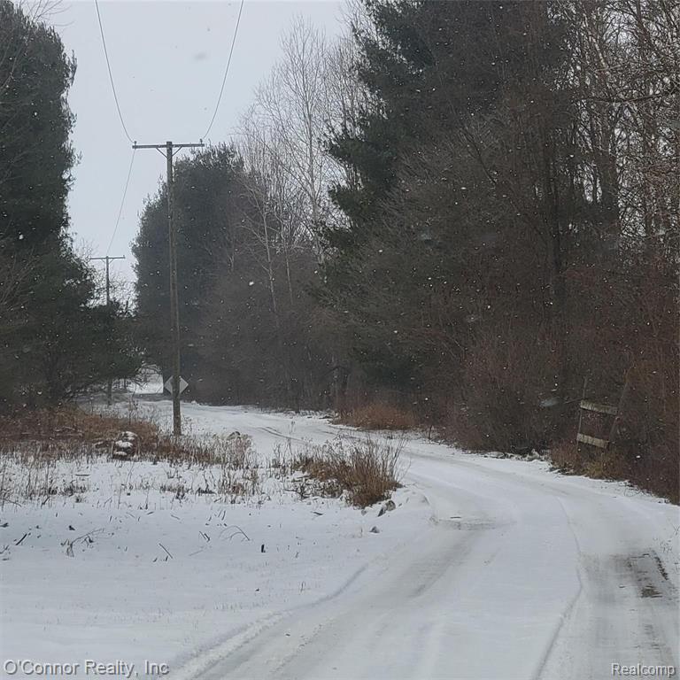 2845 Burr Road Applegate, MI 48401 - Photo 42 of 53