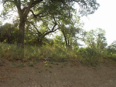 0 Dunlap Road Miramonte, CA 93641 - Photo 10 of 10 Gallery Image 10