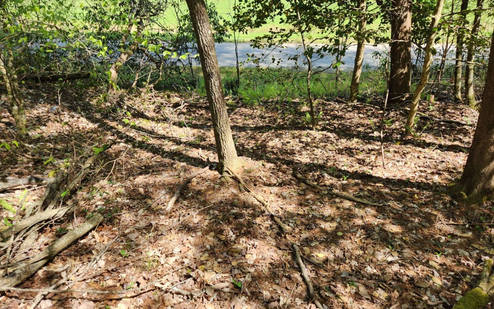 24 Mull Road Morganton, GA 30560 - Photo 4 of 21 Additional View