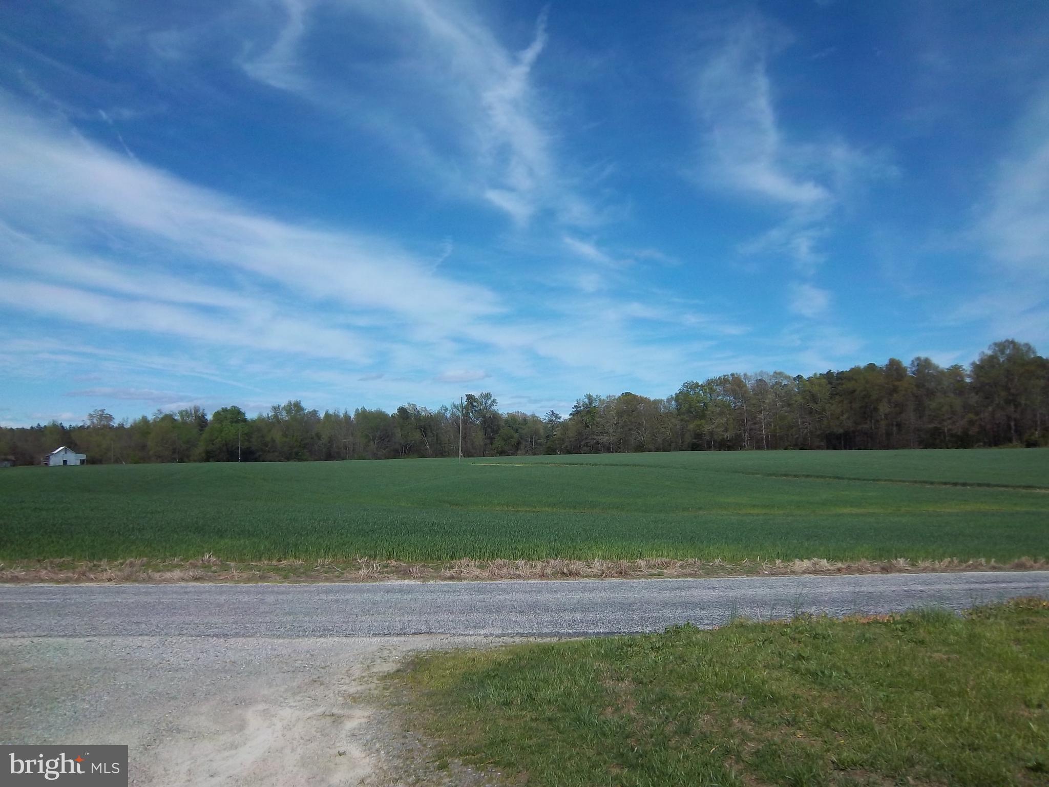 31650 Riva Ridge Road Doswell, VA 23047 - Photo 22 of 31 View from home