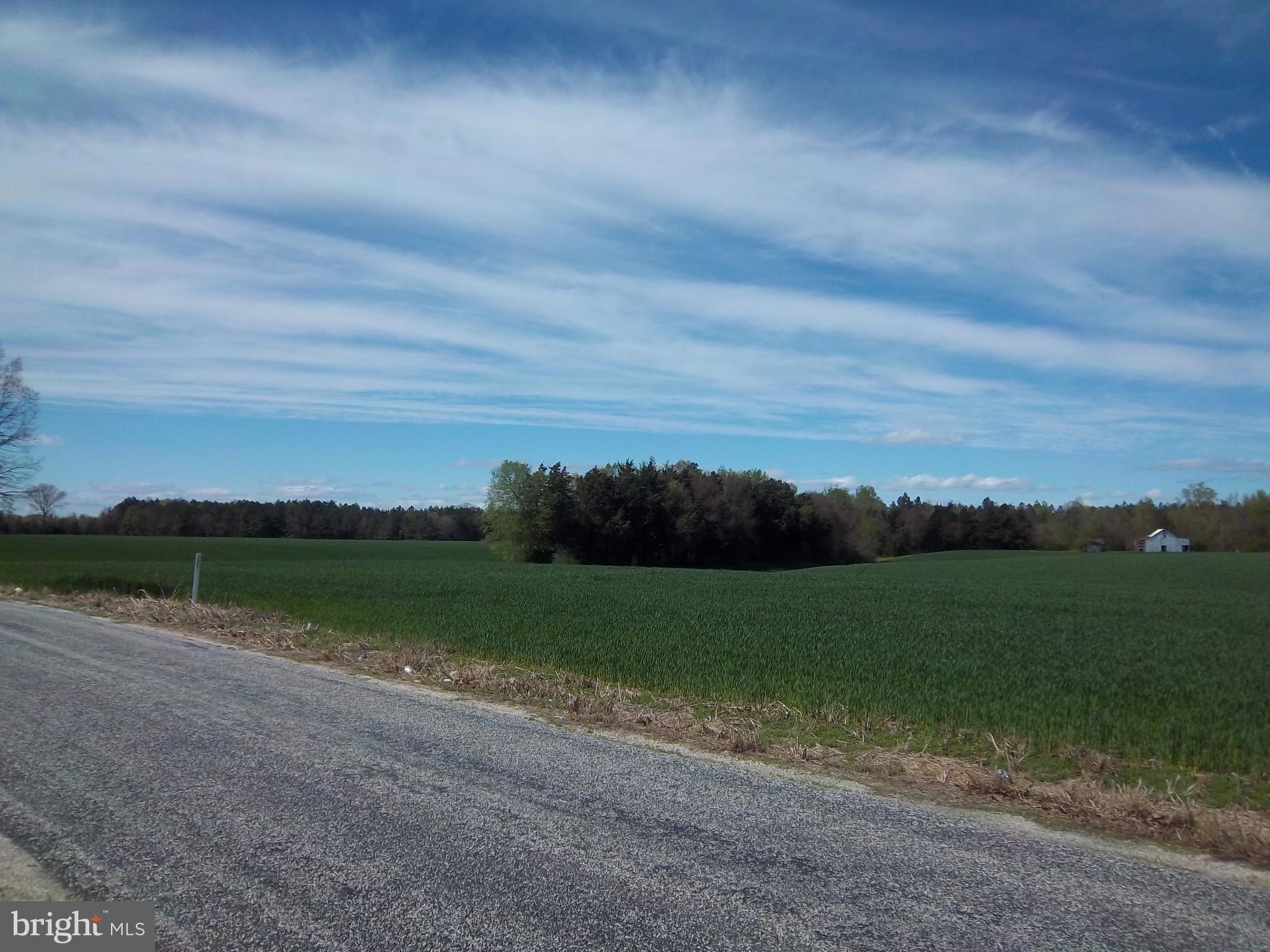 31650 Riva Ridge Road Doswell, VA 23047 - Photo 23 of 31 View