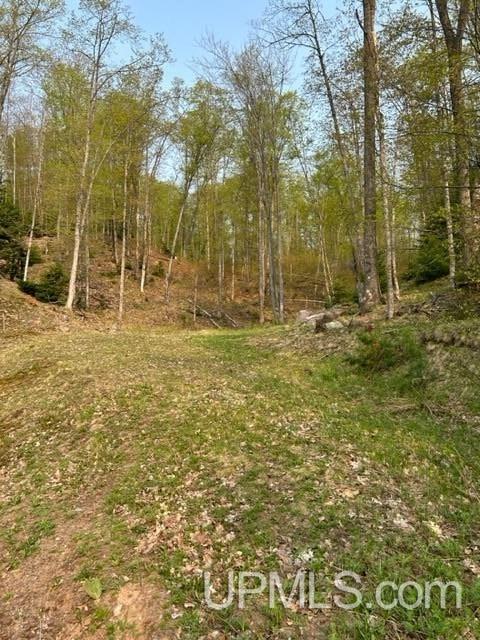 9 County Road 510 Negaunee, MI 49866 - Photo 15 of 22