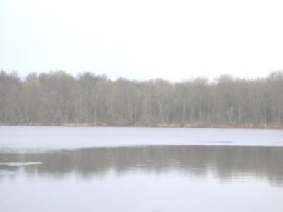 252 Red's Channel Drive Coldwater, MI 49036 - Photo 4 of 4 Additional Photo