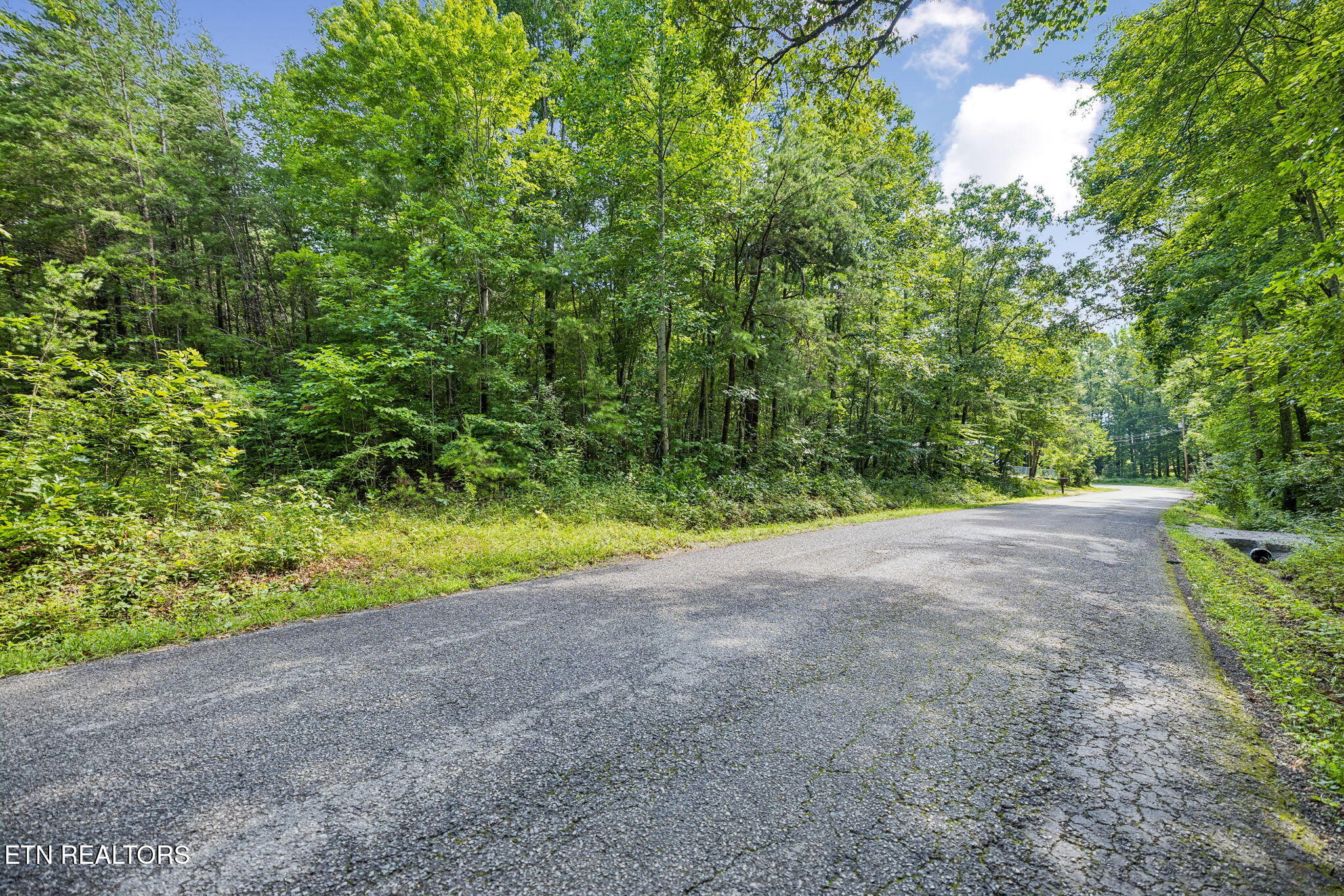 Ridge Road Lancing, TN 37770 - Photo 5 of 18 4-130 Ridge Rd - 004
