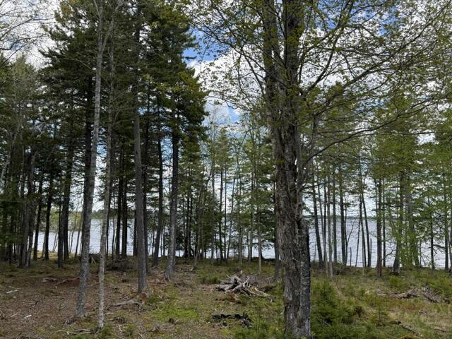 Lot12-part Indian Trail Road East Machias, ME 04630 - Photo 19 of 34 IMG_9910 (1)