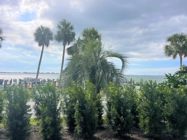 a close up of a plant in front of a building