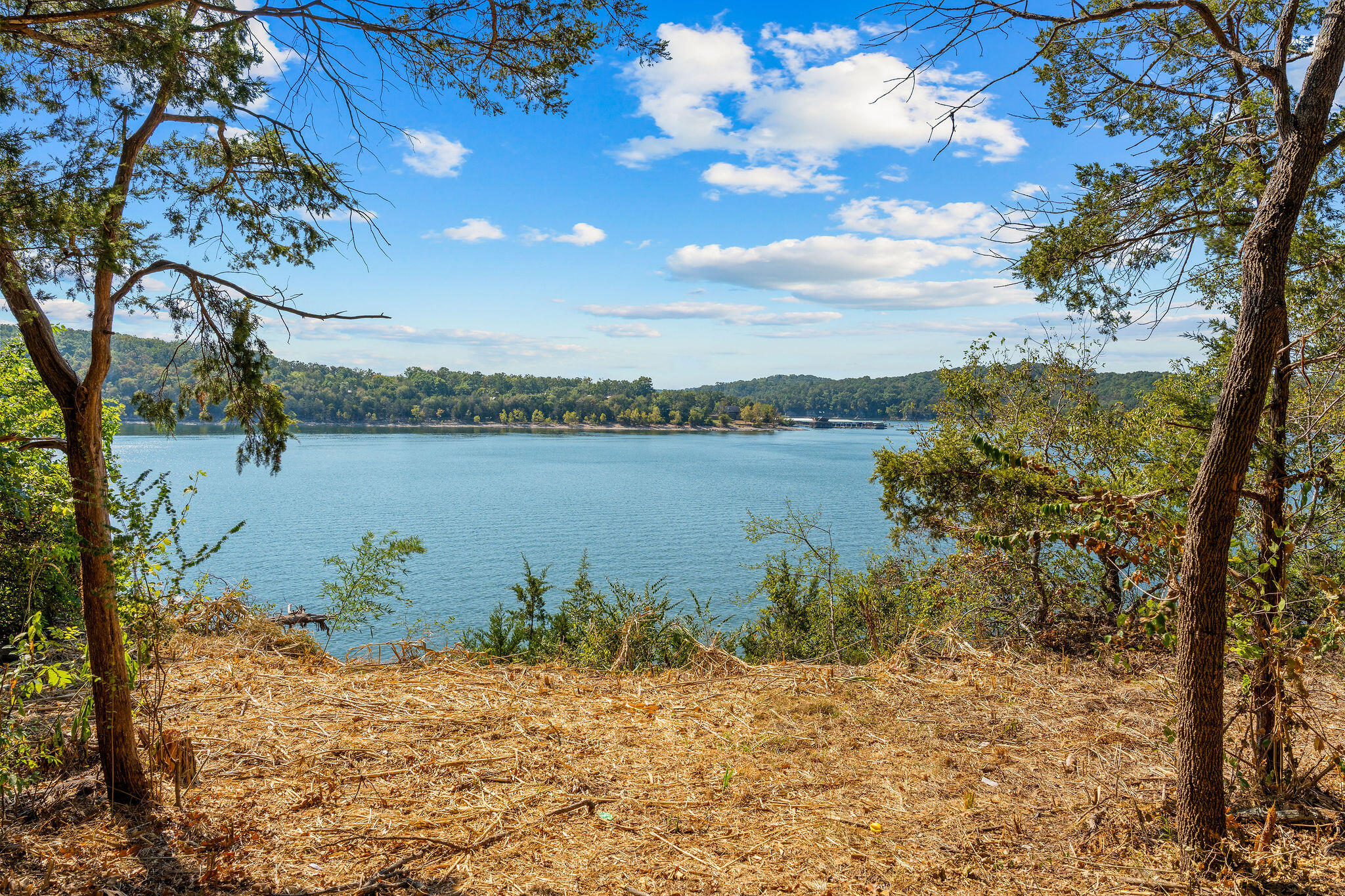 303 5th Avenue Ridgedale, MO 65739 - Photo 2 of 11 Table Rock Lake