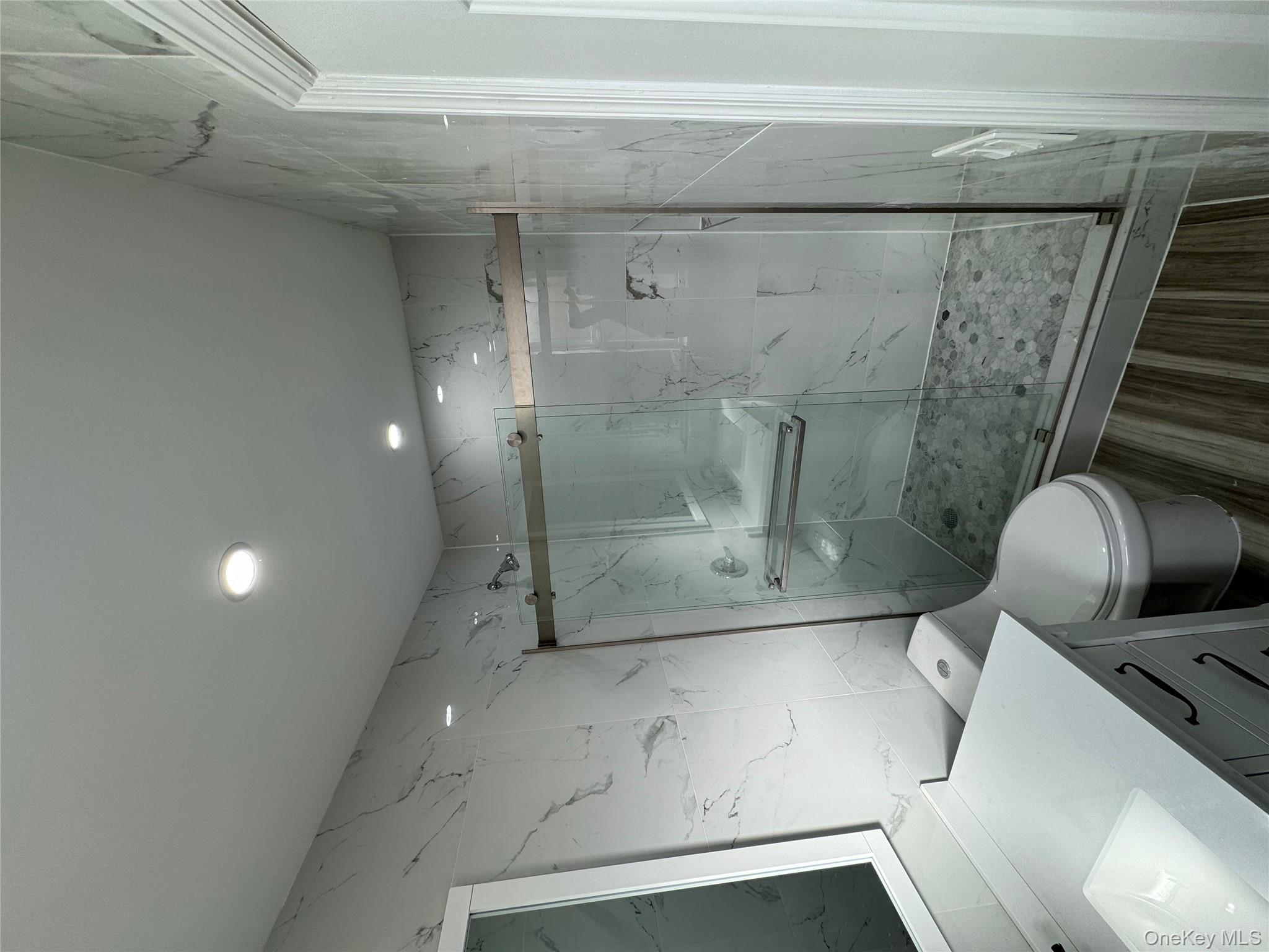 60-03 56th Road, Unit 2 Queens, NY 11378 - Photo 5 of 12 a bathroom with a granite countertop sink toilet and shower