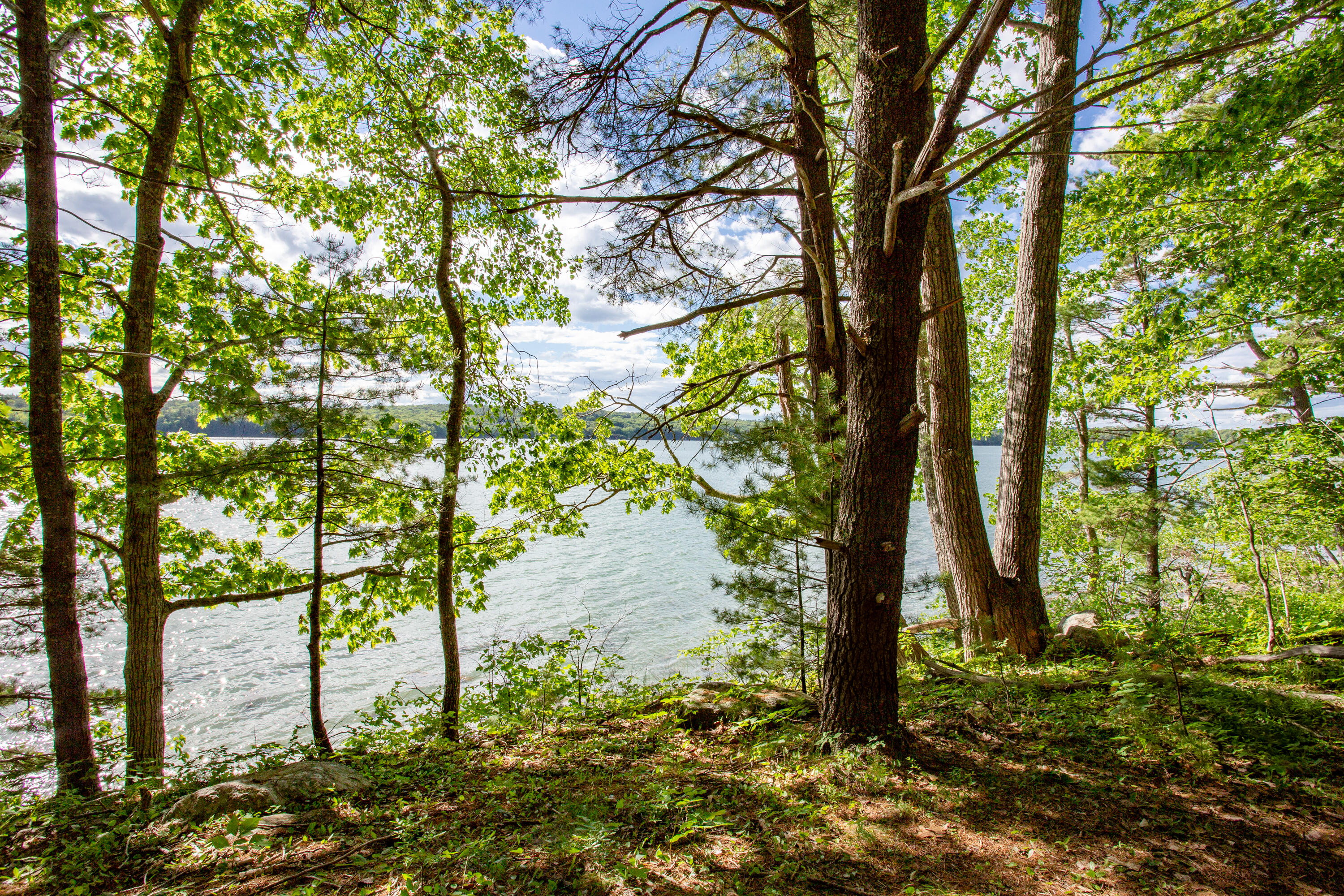 Lot 22 Bristol Road Bristol, ME 04539 - Photo 9 of 24 09-000BristolRd-Bristol-KS