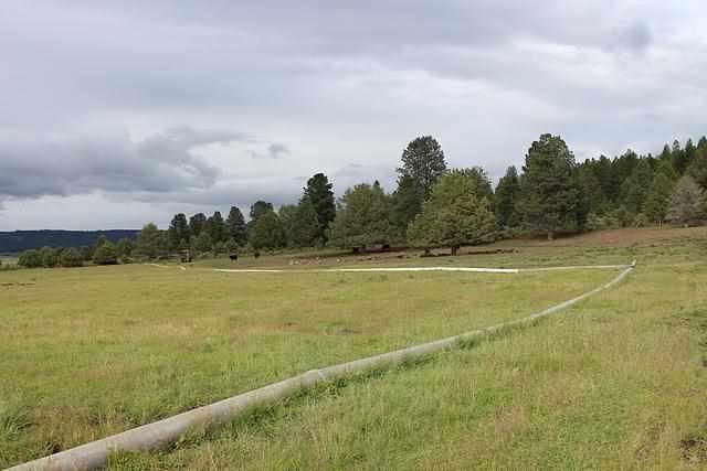 22779 Sprague River Road Chiloquin, OR 97624 - Photo 12 of 23 Additional Photo