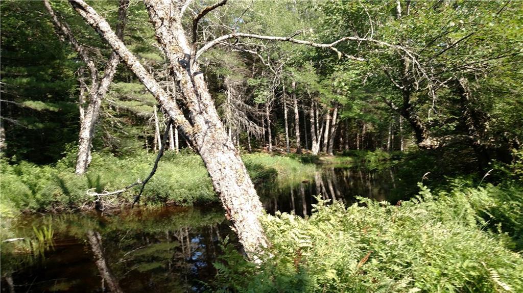 Lot 28 East Pretty Pond Road Cherryfield, ME 04622 - Photo 6 of 7 Photo