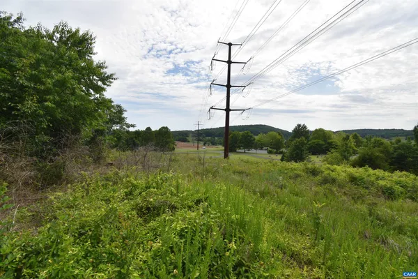 a view of a green field with a tree in the background
