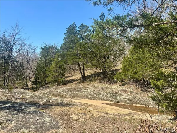 $456,500 | 30422 Private Dr 6245, Edgar Springs, MO 65462