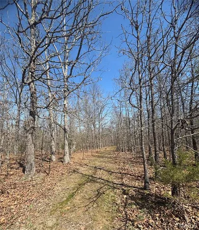 $456,500 | 30422 Private Dr 6245, Edgar Springs, MO 65462